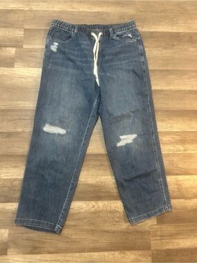 aerie Blue Distressed Drawstring Elastic Waist Jeans